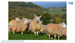 The positive role of livestock on the environment